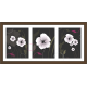 Floral Art Paintings (FHT-915)